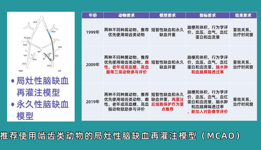 袁云云博士：啮齿类动物脑卒中疾病药效成药性评价系统（2）.jpg
