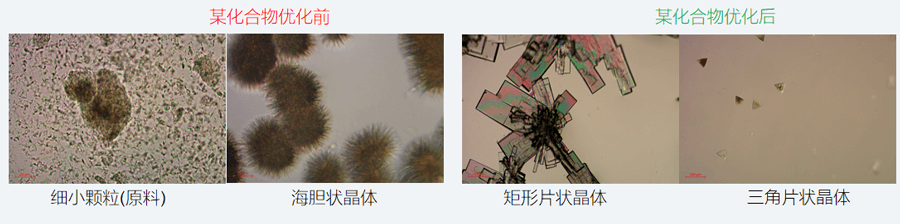 05案例分享-单晶培养，改变晶习.png