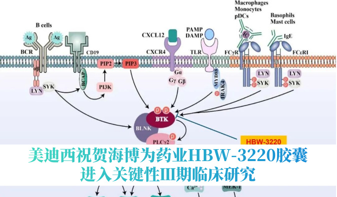 破解耐药性难题，不朽情缘mg官网：睾２┪┮礖BW-3220胶囊进入关键性Ⅲ期临床研究